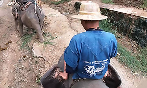 Elephant riding less Thailand with teen couple who had dealings afterward