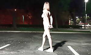 Young Stripper Kitty Longlegs walks shorn down the street again!  This time she came to the trade in parking