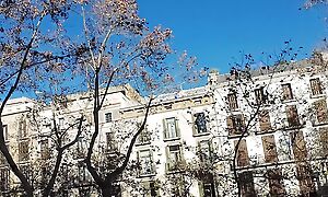 Rimming in be passed on Into done with Barcelona Traveller Street La Rambla
