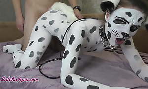 Gorgeous Generalized In Dalmatian Costume Playfully Rides Cavalier